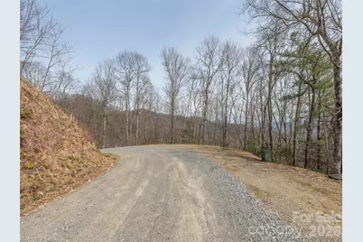0000 Sigogglin Trail #4, Waynesville, NC 28785 - Photo 2