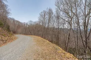0000 Sigogglin Trail, Waynesville, NC 28785 - Photo 1