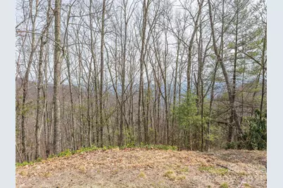 0000 Sigogglin Trail #4, Waynesville, NC 28785 - Photo 4