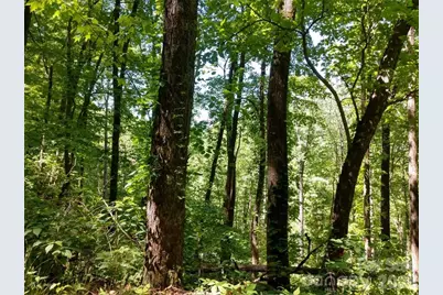 00 Hudson Valley Drive #11, Waynesville, NC 28786 - Photo 12