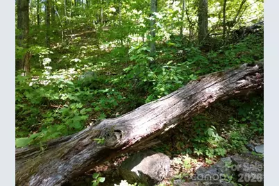 00 Hudson Valley Drive #11, Waynesville, NC 28786 - Photo 6