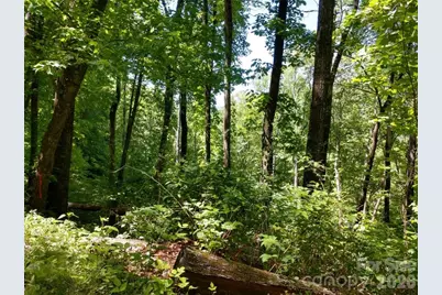 00 Hudson Valley Drive #11, Waynesville, NC 28786 - Photo 4