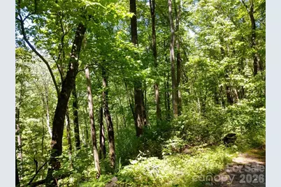 00 Hudson Valley Drive #11, Waynesville, NC 28786 - Photo 1