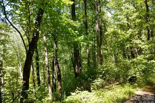 00 Hudson Valley Dr, Waynesville, NC 28786 - Photo 1