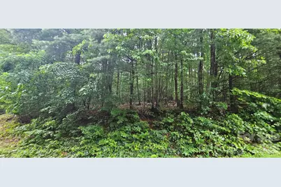 0 Old Ccc Road, Hendersonville, NC 28739 - Photo 2