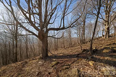 Tbd Lauren Lane #174,175,247,248, West Jefferson, NC 28694 - Photo 10