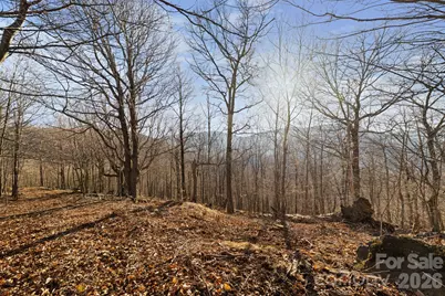 Tbd Lauren Lane #174,175,247,248, West Jefferson, NC 28694 - Photo 8