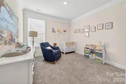 113 Saidin Lane, Troutman, NC 28166 - Photo 20