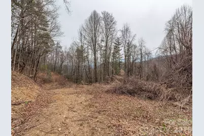 000 Sigogglin Road #17, Waynesville, NC 28786 - Photo 4