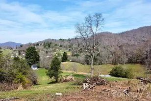 70 Vintage Pl, Canton, NC 28716 - Photo 8