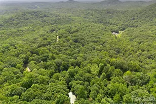 56 Cardinal Cir, Tryon, NC 28782 - Photo 32