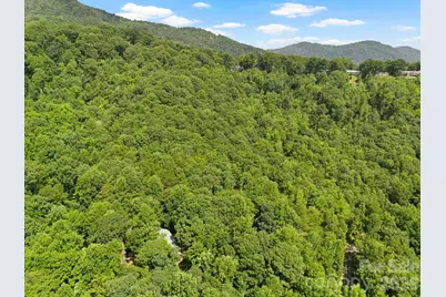 56 Cardinal Circle, Tryon, NC 28782 - Photo 36