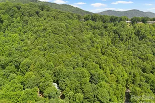 56 Cardinal Cir, Tryon, NC 28782 - Photo 36