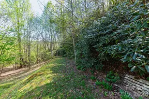 39 Kylie Grace Ln, Candler, NC 28715 - Photo 24
