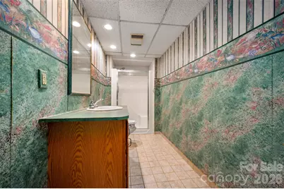 451 Britton Creek Drive, Hendersonville, NC 28791 - Photo 28