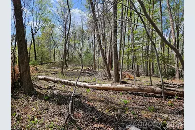 0 Whitney Boulevard #57, Lake Lure, NC 28746 - Photo 2