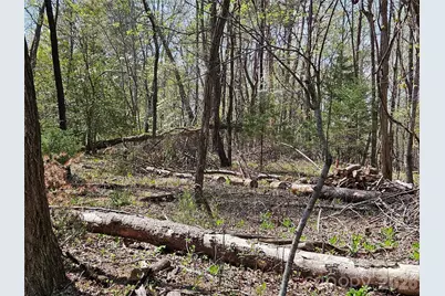 0 Whitney Boulevard #57, Lake Lure, NC 28746 - Photo 10