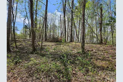 0 Whitney Boulevard #57, Lake Lure, NC 28746 - Photo 4