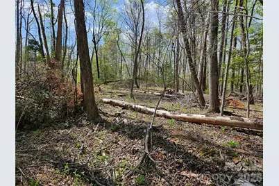 0 Whitney Boulevard #57, Lake Lure, NC 28746 - Photo 1