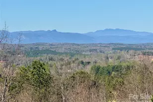 500 Grandview Peaks Dr, Nebo, NC 28761 - Photo 10