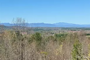 500 Grandview Peaks Dr, Nebo, NC 28761 - Photo 16