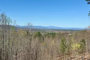 500 Grandview Peaks Dr, Nebo, NC 28761 - Photo 18