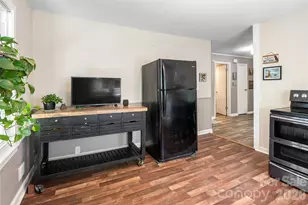 345 Lower Grassy Branch Rd, Asheville, NC 28805 - Photo 16