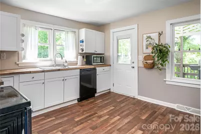 345 Lower Grassy Branch Road, Asheville, NC 28805 - Photo 4