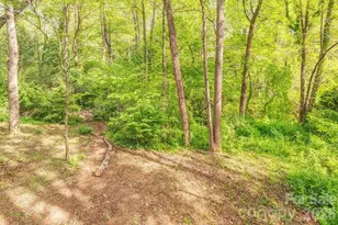 32 Pinehurst Rd, Asheville, NC 28805 - Photo 34
