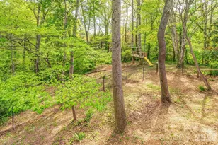 32 Pinehurst Rd, Asheville, NC 28805 - Photo 30