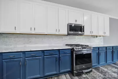 325 Mount Side Way, Fort Mill, SC 29715 - Photo 16