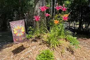 410 Forest Lake Rd, Brevard, NC 28712 - Photo 44