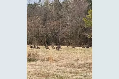 2533 Ireland Road, Yadkinville, NC 27055 - Photo 10