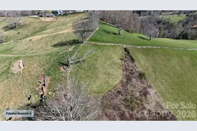 00000 Buck Ridge Road, Waynesville, NC 28785 - Photo 8