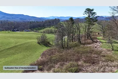 00000 Buck Ridge Road, Waynesville, NC 28785 - Photo 10