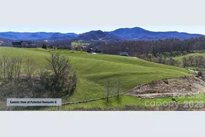 00000 Buck Ridge Road, Waynesville, NC 28785 - Photo 12