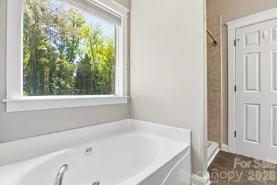 126 Carolina Bluebird Loop, Arden, NC 28704 - Photo 20