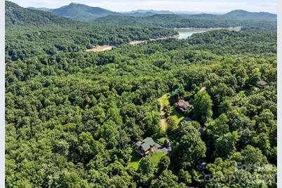 173 Mistletoe Park, Lake Lure, NC 28746 - Photo 44