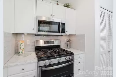 163 Diamond Drive, Mooresville, NC 28117 - Photo 22