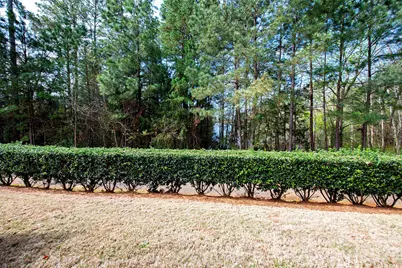 921 Lily Magnolia Court, Fort Mill, SC 29707 - Photo 24