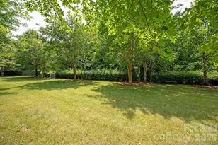 869 Stratford Run Dr, Fort Mill, SC 29708 - Photo 36