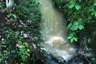 1876 Columbia Rd, Chester, SC 29706 - Photo 40