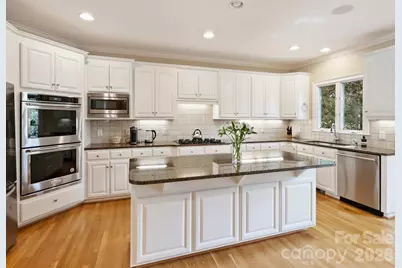 15619 Frohock Place, Charlotte, NC 28277 - Photo 12