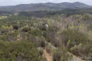 418 Owls Ridge Dr, Bostic, NC 28018 - Photo 28