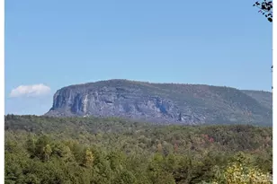 Lot #4 Pisgah Preserve Dr, Nebo, NC 28761 - Photo 1