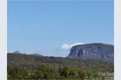 Lot #4 Pisgah Preserve Drive, Nebo, NC 28761 - Photo 2
