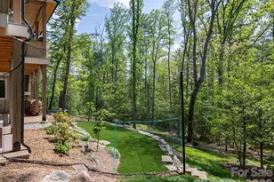 41 Hawberry Ct, Asheville, NC 28805 - Photo 32