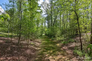 41 Hawberry Ct, Asheville, NC 28805 - Photo 36