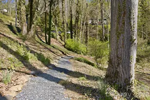 50 Hemlock St, Arden, NC 28704 - Photo 30