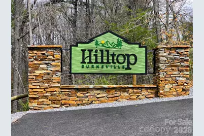 22 Salt Box Haven, Burnsville, NC 28714 - Photo 2